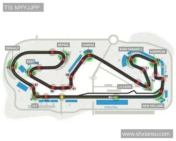 F1赛道设计对车队比赛策略的影响